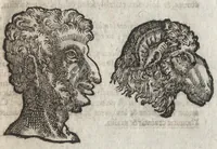 An illustration from La physionomie humaine de Iean Baptiste Porta neapolitain, divisée en quatre liures : enrichie de quantité de figures tirées au naturel, ou par les signes exterieurs du corps, on voit si clairement la complexion, les mœurs, & les desseins des hommes, qu'on semble penetrer iusques au plus profond de leurs ames ... (1655)