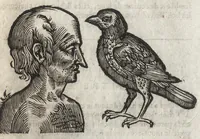 Picture 32 of 42 from La physionomie humaine de Iean Baptiste Porta neapolitain, divisée en quatre liures : enrichie de quantité de figures tirées au naturel, ou par les signes exterieurs du corps, on voit si clairement la complexion, les mœurs, & les desseins des hommes, qu'on semble penetrer iusques au plus profond de leurs ames ... (1655), leaf 314