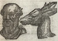 An illustration from La physionomie humaine de Iean Baptiste Porta neapolitain, divisée en quatre liures : enrichie de quantité de figures tirées au naturel, ou par les signes exterieurs du corps, on voit si clairement la complexion, les mœurs, & les desseins des hommes, qu'on semble penetrer iusques au plus profond de leurs ames ... (1655)