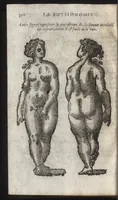 Picture 36 of 42 from La physionomie humaine de Iean Baptiste Porta neapolitain, divisée en quatre liures : enrichie de quantité de figures tirées au naturel, ou par les signes exterieurs du corps, on voit si clairement la complexion, les mœurs, & les desseins des hommes, qu'on semble penetrer iusques au plus profond de leurs ames ... (1655), leaf 327