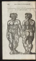 An illustration from La physionomie humaine de Iean Baptiste Porta neapolitain, divisée en quatre liures : enrichie de quantité de figures tirées au naturel, ou par les signes exterieurs du corps, on voit si clairement la complexion, les mœurs, & les desseins des hommes, qu'on semble penetrer iusques au plus profond de leurs ames ... (1655)