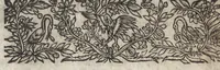 Picture 38 of 42 from La physionomie humaine de Iean Baptiste Porta neapolitain, divisée en quatre liures : enrichie de quantité de figures tirées au naturel, ou par les signes exterieurs du corps, on voit si clairement la complexion, les mœurs, & les desseins des hommes, qu'on semble penetrer iusques au plus profond de leurs ames ... (1655), leaf 419
