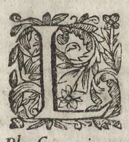 An illustration from La physionomie humaine de Iean Baptiste Porta neapolitain, divisée en quatre liures : enrichie de quantité de figures tirées au naturel, ou par les signes exterieurs du corps, on voit si clairement la complexion, les mœurs, & les desseins des hommes, qu'on semble penetrer iusques au plus profond de leurs ames ... (1655)