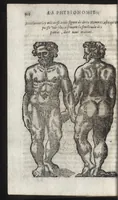 Picture 42 of 42 from La physionomie humaine de Iean Baptiste Porta neapolitain, divisée en quatre liures : enrichie de quantité de figures tirées au naturel, ou par les signes exterieurs du corps, on voit si clairement la complexion, les mœurs, & les desseins des hommes, qu'on semble penetrer iusques au plus profond de leurs ames ... (1655), leaf 531