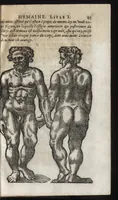 An illustration from La physionomie humaine de Iean Baptiste Porta neapolitain, divisée en quatre liures : enrichie de quantité de figures tirées au naturel, ou par les signes exterieurs du corps, on voit si clairement la complexion, les mœurs, & les desseins des hommes, qu'on semble penetrer iusques au plus profond de leurs ames ... (1655)