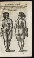 Picture 4 of 42 from La physionomie humaine de Iean Baptiste Porta neapolitain, divisée en quatre liures : enrichie de quantité de figures tirées au naturel, ou par les signes exterieurs du corps, on voit si clairement la complexion, les mœurs, & les desseins des hommes, qu'on semble penetrer iusques au plus profond de leurs ames ... (1655), leaf 68