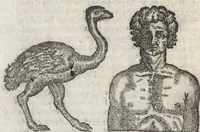 An illustration from La physionomie humaine de Iean Baptiste Porta neapolitain, divisée en quatre liures : enrichie de quantité de figures tirées au naturel, ou par les signes exterieurs du corps, on voit si clairement la complexion, les mœurs, & les desseins des hommes, qu'on semble penetrer iusques au plus profond de leurs ames ... (1655)
