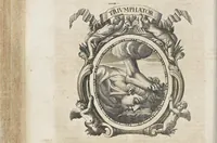 Picture 14 of 14 from Homo et ejus partes figuratus & symbolicus, anatomicus, rationalis, moralis, mysticus, politicus, & legalis : collectus et explicatus cum figuris, symbolis, anatomiis ... reflexionibus et declarationibus tam ex sacris quàm profanis auctoribus desumptis (1695), leaf 375