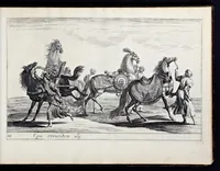 Picture 17 of 39 from Das grosse Carrosel und prächtige Ring-Rännen : nebst dem was sonsten fürtrefliches zu sehen war, alss ... Carl der eÿlffte, die Regierung seines vaterlichen Erb-Königreichs anno M.DC.LXXII. den XVIII.den Decembris ln seiner königlichen Residentz zu Stockholm antratt (1685), leaf 82