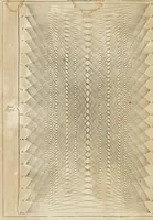 Picture 10 of 21 from Athanasii Kircheri e Soc. Jesu Ars magna sciendi, in XII libros digesta : qua nova & universali methodo per artificiosum combinationum contextum de omni re proposita plurimis & prope infinitis rationibus disputari, omniumque summaria quaedam cognitio comparari potest (1669), leaf 193
