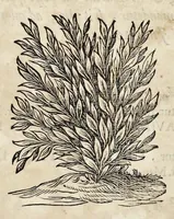 An illustration from Athanasii Kircheri e Soc. Jesu Ars magna sciendi, in XII libros digesta : qua nova & universali methodo per artificiosum combinationum contextum de omni re proposita plurimis & prope infinitis rationibus disputari, omniumque summaria quaedam cognitio comparari potest (1669)