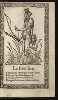 Picture 52 of 58 from Recueil de la diuersité des habits, : qui sont de present en vsage, tant es pays d'Europe. Asie, Affrique & Isles sauuages, le tout fait apres le naturel (1567), leaf 116