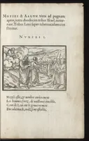 Picture 12 of 49 from Icones historiarvm Veteris Testamenti : ad viuum expressae, extremàque diligentia emendatiores factae : Gallicis in expositione homoeoteleutis, ac versuum ordinibus (qui priùs turbati, ac impares) suo numero restitutis (1547), leaf 34