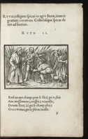 An illustration from Icones historiarvm Veteris Testamenti : ad viuum expressae, extremàque diligentia emendatiores factae : Gallicis in expositione homoeoteleutis, ac versuum ordinibus (qui priùs turbati, ac impares) suo numero restitutis (1547)
