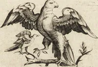 An illustration from Quattro discorsi di Anton Chi-Chiama, bidello dell'Accademia Veneziana, di pittura, scultura, e Architettura : che possono servire di risposto a quanto scrisse, scrive, e scriverà in biasimo della scuola, e de' maestri Veneziani, il cav. Giosue' Reynolds, presidente della R. Accademia di Londra ec. : aggiuntevi sul fine d'ogni discorso alcune critiche annotazioni (1783)