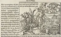 An illustration from Catalogvs annorvm et principvm siue monarcharvm mvndi geminvs : plerisqve in locis obscvrioribus illustratus & in caelebrioribus locupletatus atq[ue] à mendis, recognitione diligenti repurgatus : cum accessione multorum aliorum quae in priori aeditione non continebantur, quemadmodum suis locis toto libro uidere licebit, ab homine condito, usq[ue] in praesentem, à nato Christo, millesimum quingentesimum & quinquagesimum annum deductus & continuatus (1550)