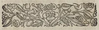 Picture 3 of 17 from La moral' filosophia del Doni, tratta da gli antichi scrittori (1552), leaf 8