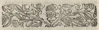 Picture 11 of 17 from La moral' filosophia del Doni, tratta da gli antichi scrittori (1552), leaf 81