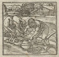 Picture 4 of 36 from La moral' filosophia del Doni, tratta da gli antichi scrittori (1552), leaf 14