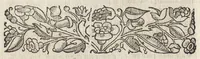 Picture 9 of 36 from La moral' filosophia del Doni, tratta da gli antichi scrittori (1552), leaf 39