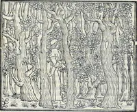 Picture 2 of 139 from La Hypnerotomachia di Poliphilo : cioè pvgna d'amore in sogno, dov'egli mostra, che tvtte le cose hvmane non sono altro che sogno, & doue narra molt'altre cose degne di cognitione (1545), leaf 17