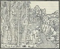 An illustration from La Hypnerotomachia di Poliphilo : cioè pvgna d'amore in sogno, dov'egli mostra, che tvtte le cose hvmane non sono altro che sogno, & doue narra molt'altre cose degne di cognitione (1545)