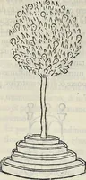 Picture 98 of 139 from La Hypnerotomachia di Poliphilo : cioè pvgna d'amore in sogno, dov'egli mostra, che tvtte le cose hvmane non sono altro che sogno, & doue narra molt'altre cose degne di cognitione (1545), leaf 308