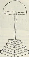 Picture 100 of 139 from La Hypnerotomachia di Poliphilo : cioè pvgna d'amore in sogno, dov'egli mostra, che tvtte le cose hvmane non sono altro che sogno, & doue narra molt'altre cose degne di cognitione (1545), leaf 310