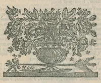 Picture 9 of 10 from Numismata aerea imperatorum, augustarum, et caesarum, in coloniis, municilpiis, et urbibus jure latio donatis : ex omni modulo percussa : pars prima [-altera] (1695), leaf 486