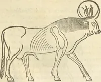 An illustration from Athanasii Kircheri e Soc. Iesu Obeliscus Pamphilius, hoc est, Interpretatio noua & hucusque intentata obelisci hieroglyphici quem non ita pridem ex veteri hippodromo Antonini Caracallae Caesaris, in agonale forum transtulit, integritati restituit & in Vbis Aeternae ornamentum erexit Innocentius X. Pont. Max. : in quo post varia Aegyptiacae, Chaldaicae, Hebraicae, Graecanicae antiquitatis doctrinaeque qua sacrae, qua profanae monumenta, veterum tandem theologia, hieroglyphicis inuoluta symbolis, detecta e tenebris in lucem asseritur (1650)