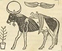 Picture 35 of 112 from Athanasii Kircheri e Soc. Iesu Obeliscus Pamphilius, hoc est, Interpretatio noua & hucusque intentata obelisci hieroglyphici quem non ita pridem ex veteri hippodromo Antonini Caracallae Caesaris, in agonale forum transtulit, integritati restituit & in Vbis Aeternae ornamentum erexit Innocentius X. Pont. Max. : in quo post varia Aegyptiacae, Chaldaicae, Hebraicae, Graecanicae antiquitatis doctrinaeque qua sacrae, qua profanae monumenta, veterum tandem theologia, hieroglyphicis inuoluta symbolis, detecta e tenebris in lucem asseritur (1650), leaf 337