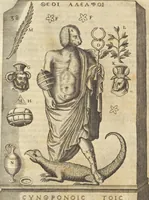 Picture 40 of 112 from Athanasii Kircheri e Soc. Iesu Obeliscus Pamphilius, hoc est, Interpretatio noua & hucusque intentata obelisci hieroglyphici quem non ita pridem ex veteri hippodromo Antonini Caracallae Caesaris, in agonale forum transtulit, integritati restituit & in Vbis Aeternae ornamentum erexit Innocentius X. Pont. Max. : in quo post varia Aegyptiacae, Chaldaicae, Hebraicae, Graecanicae antiquitatis doctrinaeque qua sacrae, qua profanae monumenta, veterum tandem theologia, hieroglyphicis inuoluta symbolis, detecta e tenebris in lucem asseritur (1650), leaf 369