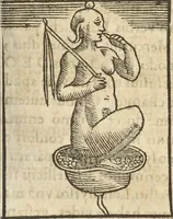 An illustration from Athanasii Kircheri e Soc. Iesu Obeliscus Pamphilius, hoc est, Interpretatio noua & hucusque intentata obelisci hieroglyphici quem non ita pridem ex veteri hippodromo Antonini Caracallae Caesaris, in agonale forum transtulit, integritati restituit & in Vbis Aeternae ornamentum erexit Innocentius X. Pont. Max. : in quo post varia Aegyptiacae, Chaldaicae, Hebraicae, Graecanicae antiquitatis doctrinaeque qua sacrae, qua profanae monumenta, veterum tandem theologia, hieroglyphicis inuoluta symbolis, detecta e tenebris in lucem asseritur (1650)