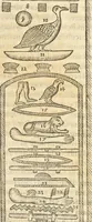 Picture 93 of 112 from Athanasii Kircheri e Soc. Iesu Obeliscus Pamphilius, hoc est, Interpretatio noua & hucusque intentata obelisci hieroglyphici quem non ita pridem ex veteri hippodromo Antonini Caracallae Caesaris, in agonale forum transtulit, integritati restituit & in Vbis Aeternae ornamentum erexit Innocentius X. Pont. Max. : in quo post varia Aegyptiacae, Chaldaicae, Hebraicae, Graecanicae antiquitatis doctrinaeque qua sacrae, qua profanae monumenta, veterum tandem theologia, hieroglyphicis inuoluta symbolis, detecta e tenebris in lucem asseritur (1650), leaf 578