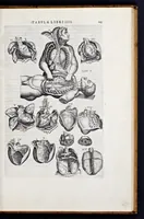 Picture 27 of 39 from Vivae imagines partivm corporis hvmani aereis formis expressae (1566), leaf 110