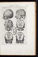 An illustration from Vivae imagines partivm corporis hvmani aereis formis expressae (1566)