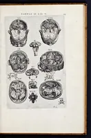 Picture 29 of 39 from Vivae imagines partivm corporis hvmani aereis formis expressae (1566), leaf 122
