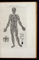 An illustration from Vivae imagines partivm corporis hvmani aereis formis expressae (1566)