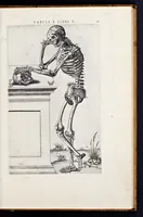 Picture 1 of 39 from Vivae imagines partivm corporis hvmani aereis formis expressae (1566), leaf 16