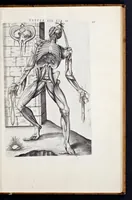 Picture 12 of 39 from Vivae imagines partivm corporis hvmani aereis formis expressae (1566), leaf 54