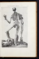 An illustration from Vivae imagines partivm corporis hvmani aereis formis expressae (1566)