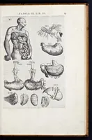 Picture 24 of 39 from Vivae imagines partivm corporis hvmani aereis formis expressae (1566), leaf 92