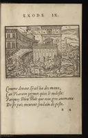 Picture 5 of 39 from Qvadrins historiqves d'Exode (1553), leaf 28