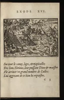 Picture 11 of 39 from Qvadrins historiqves d'Exode (1553), leaf 42
