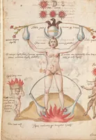 Picture 6 of 34 from Manly Palmer Hall collection of alchemical manuscripts, circa 1500-1825 (1500), leaf 14