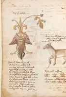 Picture 9 of 34 from Manly Palmer Hall collection of alchemical manuscripts, circa 1500-1825 (1500), leaf 18