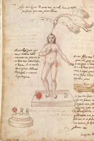 An illustration from Manly Palmer Hall collection of alchemical manuscripts, circa 1500-1825 (1500)