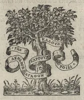 An illustration from Le premier livre des antiqvitez de Rome : contenant vne generale description de sa grandevr, et comme vne deploration de sa rvine (1558)