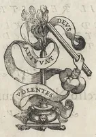 Picture 1 of 6 from L'historia di casa Orsina (1565), leaf 307