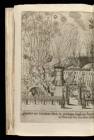 Picture 9 of 37 from [Publications relating to the wedding of Leopold I, Holy Roman Emperor, and Margarita Teresa, Infanta of Spain] (1666), leaf 31